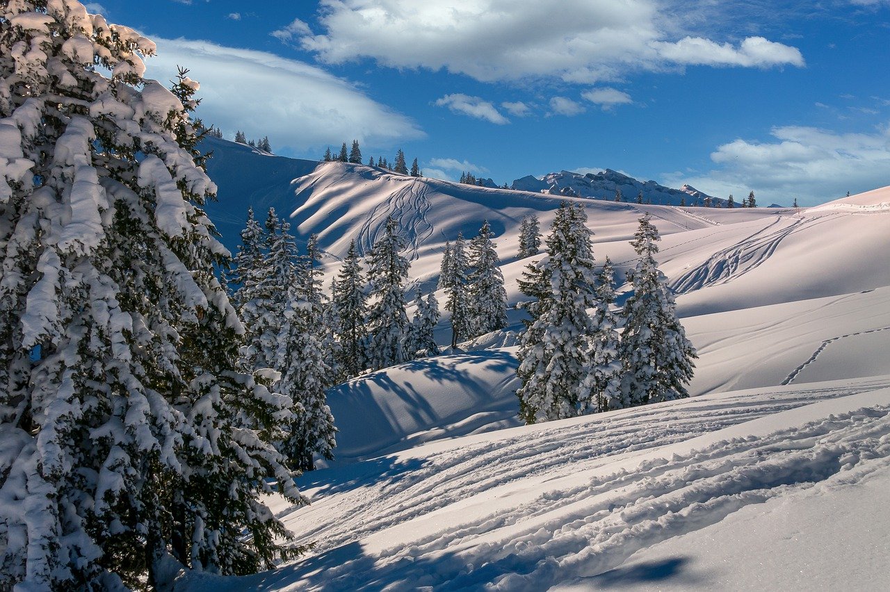 Les sports d’hiver